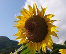 話を聞いて欲しい方の話し相手になります 私と話すと元気になるとたくさんの方に言われてきました イメージ1