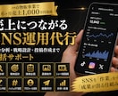 SNS運用代行｜3SNS運用します X・Instagram・TikTokを一括運用 イメージ1