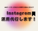 Instagramの運用代行します 手作業で効率よく運用するサポートをします！ イメージ1