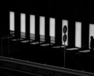 かっこいいモノクロ写真にします 明暗に拘ったモノクロ写真に仕上げます！ イメージ4