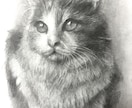 リアル鉛筆画　写真から心に残るものを制作します 思い出に残る一枚を残しませんか。 イメージ3