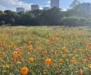 妊活で悩んでいる方、一人で悩まずお話し聞きます 〜妊活10年の私だからこそ分かる事があると思います〜 イメージ1