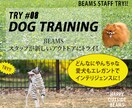 低価格1,500円かつ修正無料でバナー制作します 【キャンペーン】低予算でバナーを制作したい方へ イメージ3
