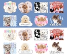 申請いらず*ペットや動物の写真スタンプ制作します うちの子の魅力そのまま、普段使いのできるLINEスタンプに♪ イメージ1