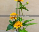 初心者さんにお花の飾り方をアドバイスします あなたもお気軽に『花のある暮らし』をしてみませんか？ イメージ2