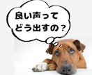 声の専門外来・声優経験を活かし発声改善します 医療×声優経験で一般の方からプロを目指す方まで幅広く対応 イメージ2