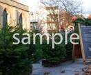クリスマスの時期に使えそうな写真７枚提供します クリスマスツリー(もみの木)マーケット編 イメージ2