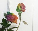 プレゼントにも最適なお花のイラスト描きます 結婚式、お誕生日その他お祝いにも送られて嬉しいイラストです。 イメージ3