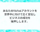 TikTokフォロワー1,000人～増やします TikTokフォロワー1000以上でライブ配信機能解放！ イメージ8