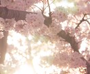 白狐・さくら　がその願い預かります 悩みにひと言メッセージ➕あなたの願いを神様の所へ届けます。 イメージ1