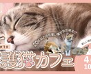 ターゲットに刺さるバナー、チラシを制作します ターゲットに合わせたオーダーメイドデザインします。 イメージ5