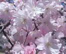 誰にも言えない気持ち、否定せず最後まで聞きます うまく話せなくても大丈夫。あなたのペースでお話しください。 イメージ1