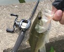 バス釣りのポイント調査してきます 関東全域の気になるバス釣りポイントの調査です！ イメージ2
