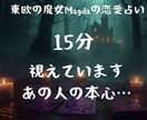 15分お試し/お相手の気持ちと未来を霊視します 「あの人は本気？」視えたものをそのままお話します… イメージ1