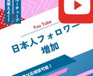 YOUTUBE日本人フォロワー1000人増やします 【初出品記念値下げ】YOUTUBE登録者を増加するまで拡散！ イメージ1