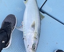 ルアー釣り教えます 今から始める初心者にも実績を踏まえてわかりやすく解説します！ イメージ5