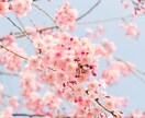 学生時代好きだった“あの人”との相性を読み解きます 過去に惹かれた“あの人” 今でもふとした瞬間に思い出す理由 イメージ1
