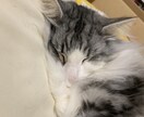 短時間でもok⭐︎愚痴から内容のない話でも聞きます 人の話しを聞くのが好きなので、気軽に来てください！ イメージ6
