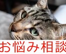 1日チャットします あなたの相談に乗ります。独りで悩まないように イメージ1