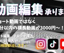 動画編集を承ります 10分以内の動画編集依頼が3000円！ イメージ1
