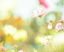 今のあなたのココロに響くフラワーエッセンス選びます (　通常版２～７種類　)フラワーエッセンス・リーディング イメージ1