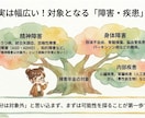 障害年金の手続きをプロが優しく相談・サポートします 手続きをしたいけど、申請書類の書き方・準備に困っている人向け イメージ7