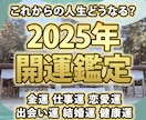 2025年の総合鑑定！未来予想図を作成します 2025年、あなたはどうなる？ 心奏華が未来を占います イメージ1