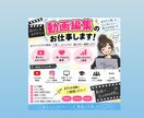 30～60代の方へ向けた動画編集をします (※)動画の長さによってお値段変わります イメージ1