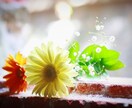 心を解放して＊貴方を元気にします 夫婦・子育て、人間関係、変わっていく時代、コロナ…聞きます！ イメージ6