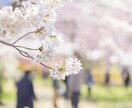 入学式・卒業式の記念写真をプロが撮影します 春の光とともに、思い出の瞬間を大切に撮影します イメージ1