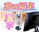 動画編集編集代行致します フルテロップでも5000円でOK！！！ イメージ2