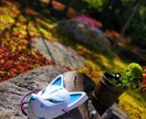 関西地方で写真撮影代行します 枚数無制限！出張撮影・写真撮影・質問お気軽に☆ イメージ7