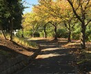 空き家の状況報告します 空き家などの様子が気になりるけどなかなか行けない方へ イメージ1