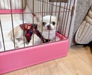 とりあえず聞いてほしい内容から深刻な悩み聞きます どんなジャンルでもOKです。短時間でも対応致します。 イメージ1