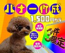 修正無制限✦【 伝 わ る 】バナー作成いたします ご希望のデザインを丁寧に作成いたします✦複数割引あり✦ イメージ1