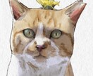 大切なペットの絵を水彩風に描きます 大切な家族のペットの写真をオシャレに水彩風に描きます イメージ3