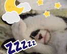 今日はどんな一日だった？✰*☽ゆったりお話聞きます (❁´ω`❁)お試し１分からOK♪♪ イメージ6