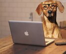 ペット関連記事のライティングを承ります 犬猫の情報を扱うサイト様に専門性の高い記事を提供致します イメージ1