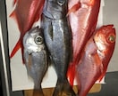 海釣りに行く事前準備のあれこれおしえます 海釣り全般の持ち物、天気の見方、おすすめの船宿など イメージ4