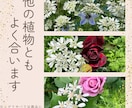メルカリ出品写真を丁寧に編集＆加工します 背景白抜きや明るさ調整、文字入れなど対応可能。 イメージ3