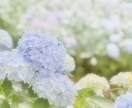 ヒーラー様限定ココナラをtwitterで宣伝します ヒーリング/気功/遠隔気功/スピリチュアル 等の宣伝にどうぞ イメージ6