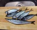 釣りを始めてみたい方の質問お受けします 釣具屋勤務による生の情報をお届けします。 イメージ4