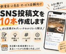 飲食店・小売店など店舗向SNS文を10本作成します 実店舗経験をもとに、来店につながる投稿を作成します。 イメージ1