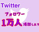 究極！Twitterフォロワー増加１万人増加します 気取りたい方や副業の目的の方必見サービスです。 イメージ1