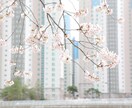 リアルタイム|彼のことを今すぐ一緒に視ていきます 深くまで繋がり、あなたに必要なメッセージを降ろします イメージ1