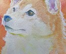 手描き！ペット・動物の肖像を水彩画で描きます 水彩でペットや動物の写真を元に水彩紙に透明水彩で着彩。 イメージ6