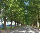 愚痴、何でも話聞きます 48時間 トークルームでやり取りしましょう イメージ4