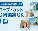 ショート動画の編集代行します SNS用の動画、PRや解説等の編集代行します! イメージ1