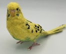 リアルで可愛いペットのインコ人形を作成します 大事なペットちゃんを和紙で可愛く作ります！ イメージ4