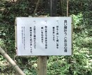 50代まで！結婚したい人の恋愛相談いたします 出会いについてや出会ってからの悩みなどアドバイスいたします！ イメージ3